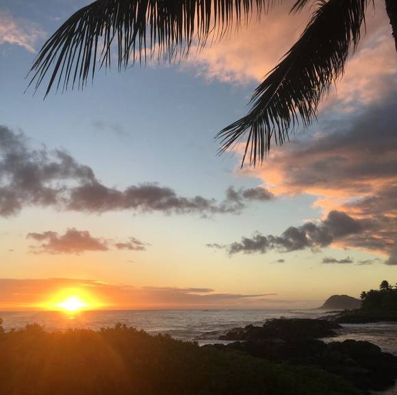 Meet your Posher, Maddie - Picture 1 of 1